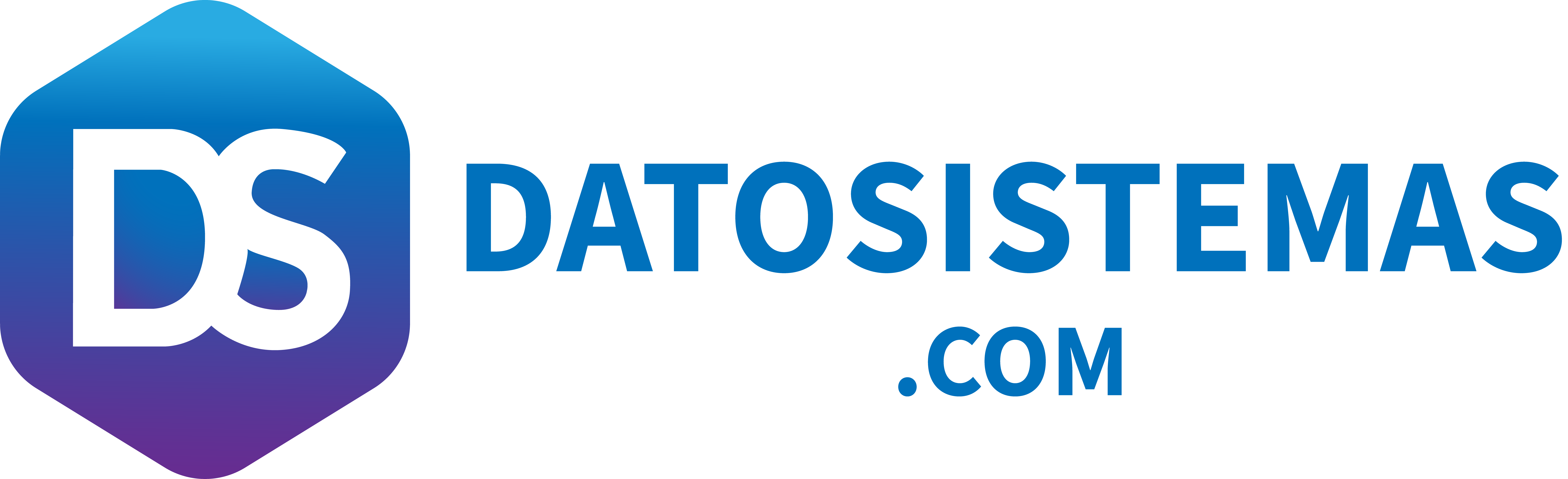 Datosistemas Logo